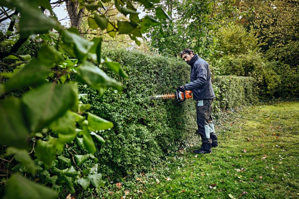 En man arbetar noggrant på att forma en häck med sin Stihl HSA 100 Batterihäcksax i en lummig trädgård, med närbild på gröna blad i förgrunden.
