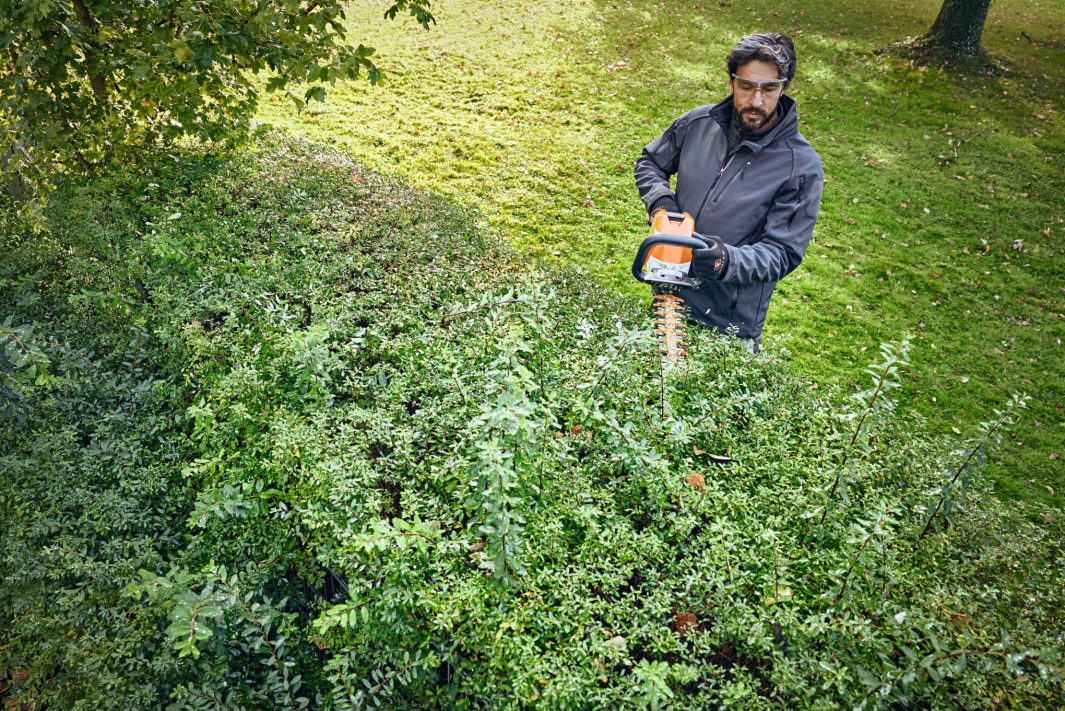 n man håller en Stihl HSA 100 Batterihäcksax och klipper gröna buskar i en öppen trädgård med en bakgrund av ett ljust gräsfält och träd.