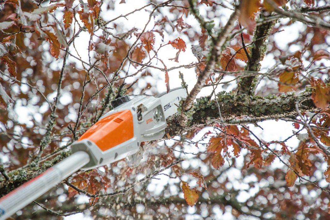 Stihl HTA 50 Stamkvistare Set in action zoom