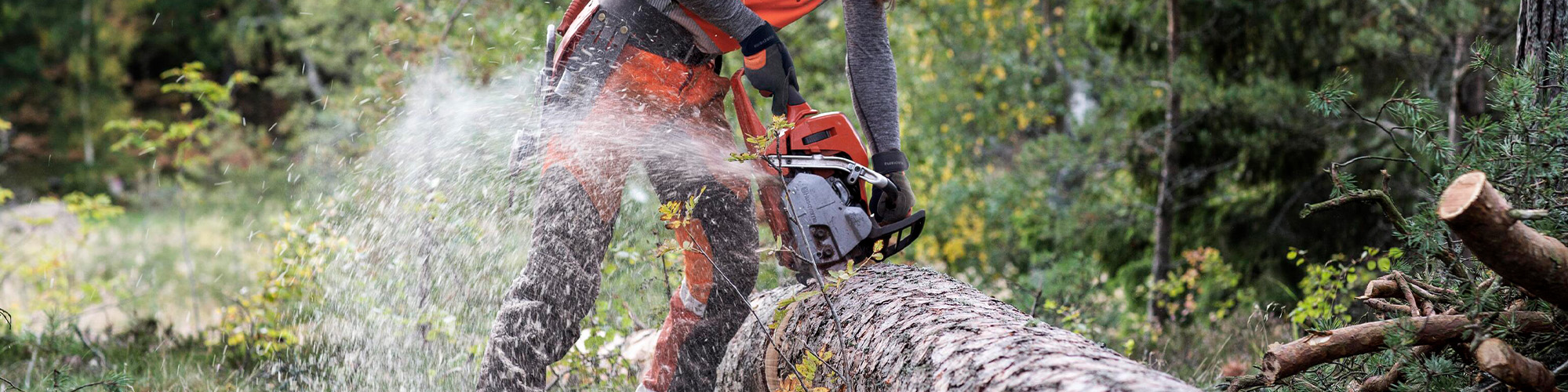 soderstroms nyhet allt om husqvarna motorsag