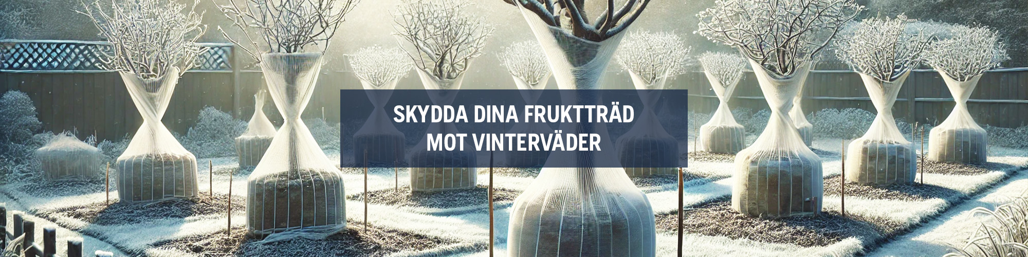 Skydda fruktträd mot vinterväder – tips och råd