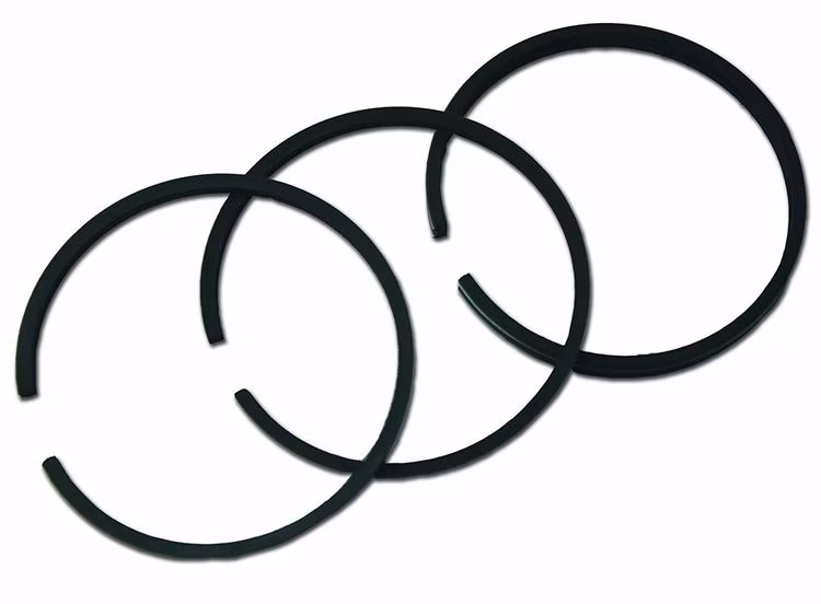 B&S Kolvring Sats Std.