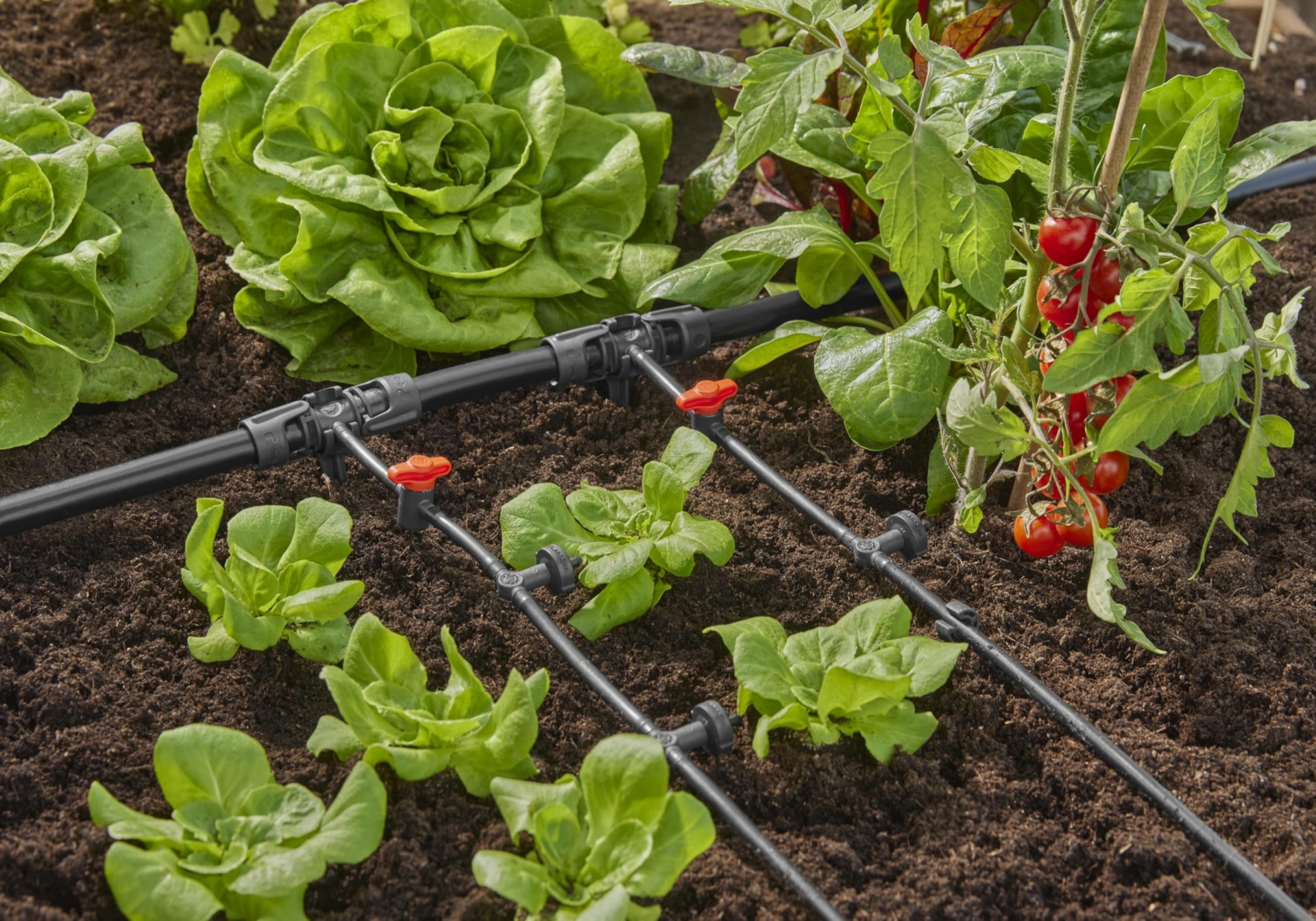 microdrip header