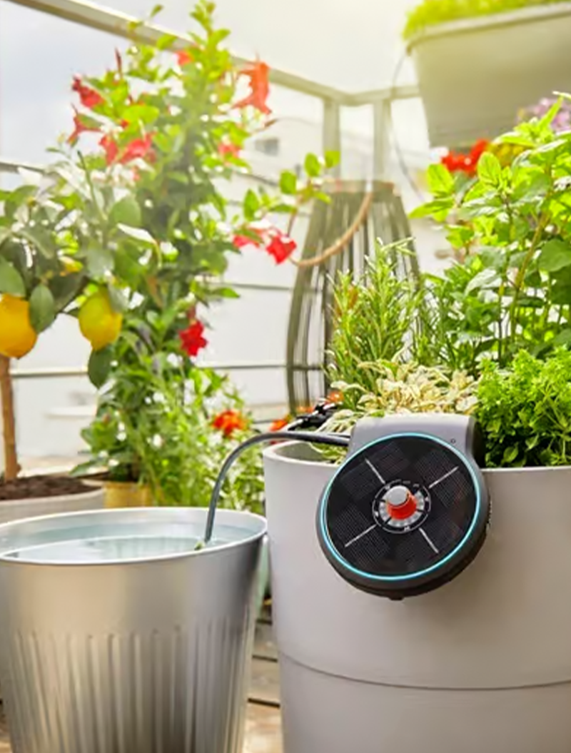 trespalt soderstrom aquabloom