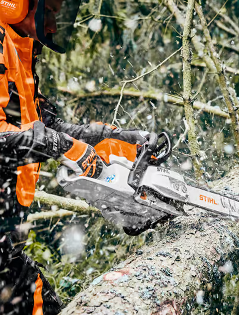 trespalt soderstrom motorsag