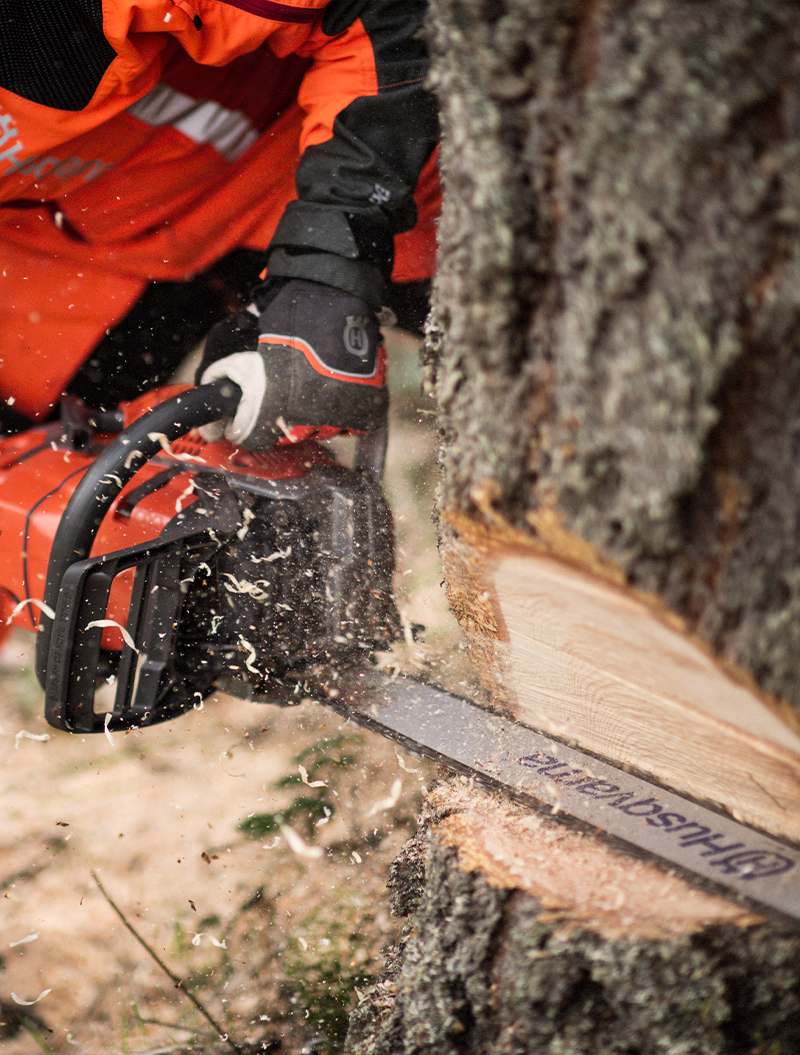 trespalt soderstrom motorsag